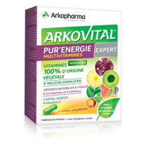 Arkovital Pure Energy Expert je prehransko dopolnilo na osnovi acerole v prahu, koncentrata rastlinskih izvlečkov, grozdnega izvlečka, vitamina D in luteina. 100% naraven vitaminsko-mineralni kompleks