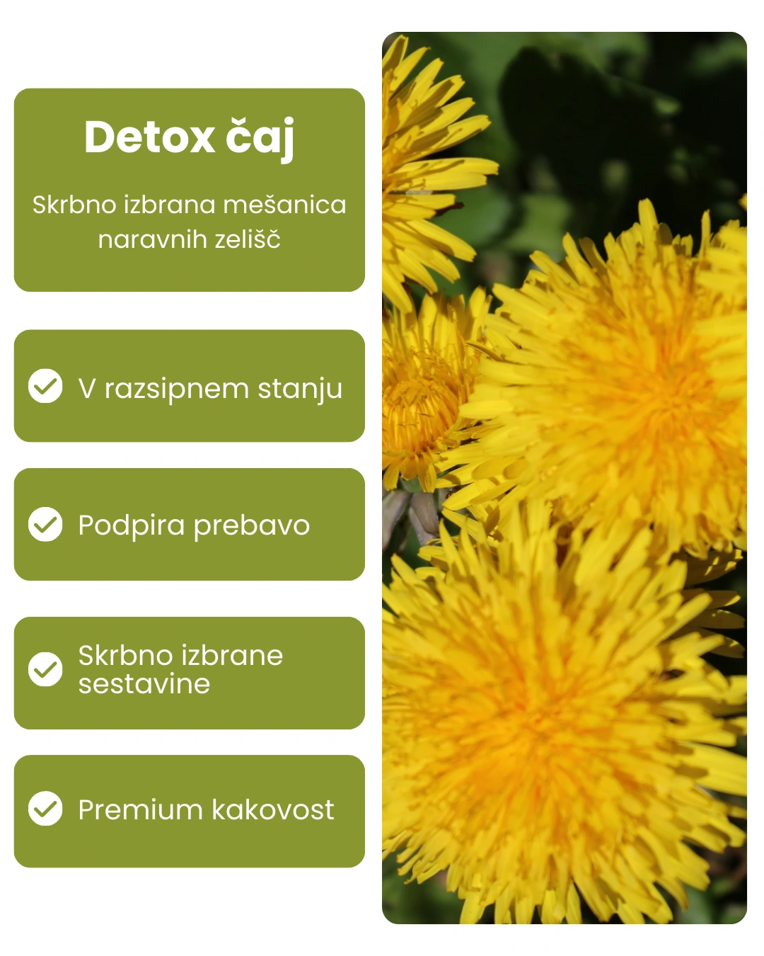 Galex Detox zeliščni čaj s pegastim badljem in regratom, 80 g