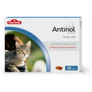 Antinol kapsule za podporo zdravim sklepom za mačke, 30 kapsul 