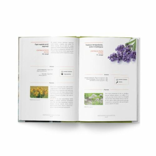 Zdravilne rastline – 60 receptur (prof. dr. Borut Štrukelj) – knjiga