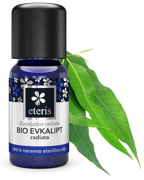Eteris Evkalipt radiata (BIO eterično olje), 10 ml