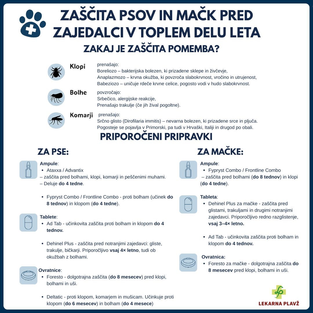 MAJ akcije (8)