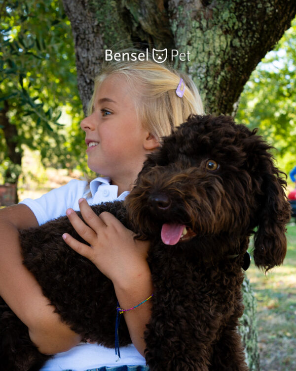 Cicatrioil pršilo, 20 ml