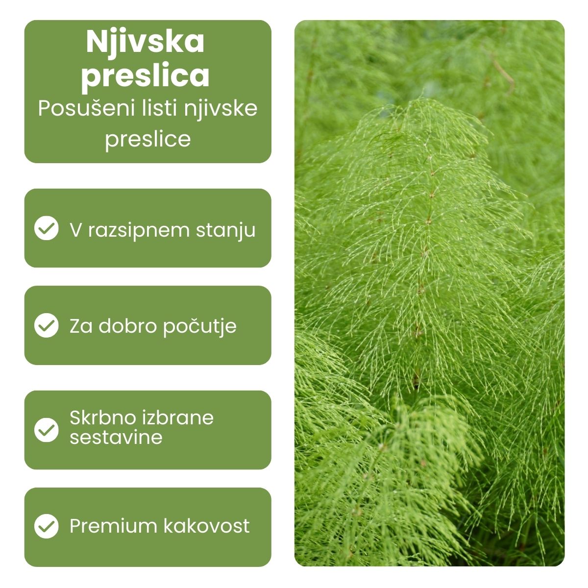 Galex njivska preslica zeliščni čaj, 40 g