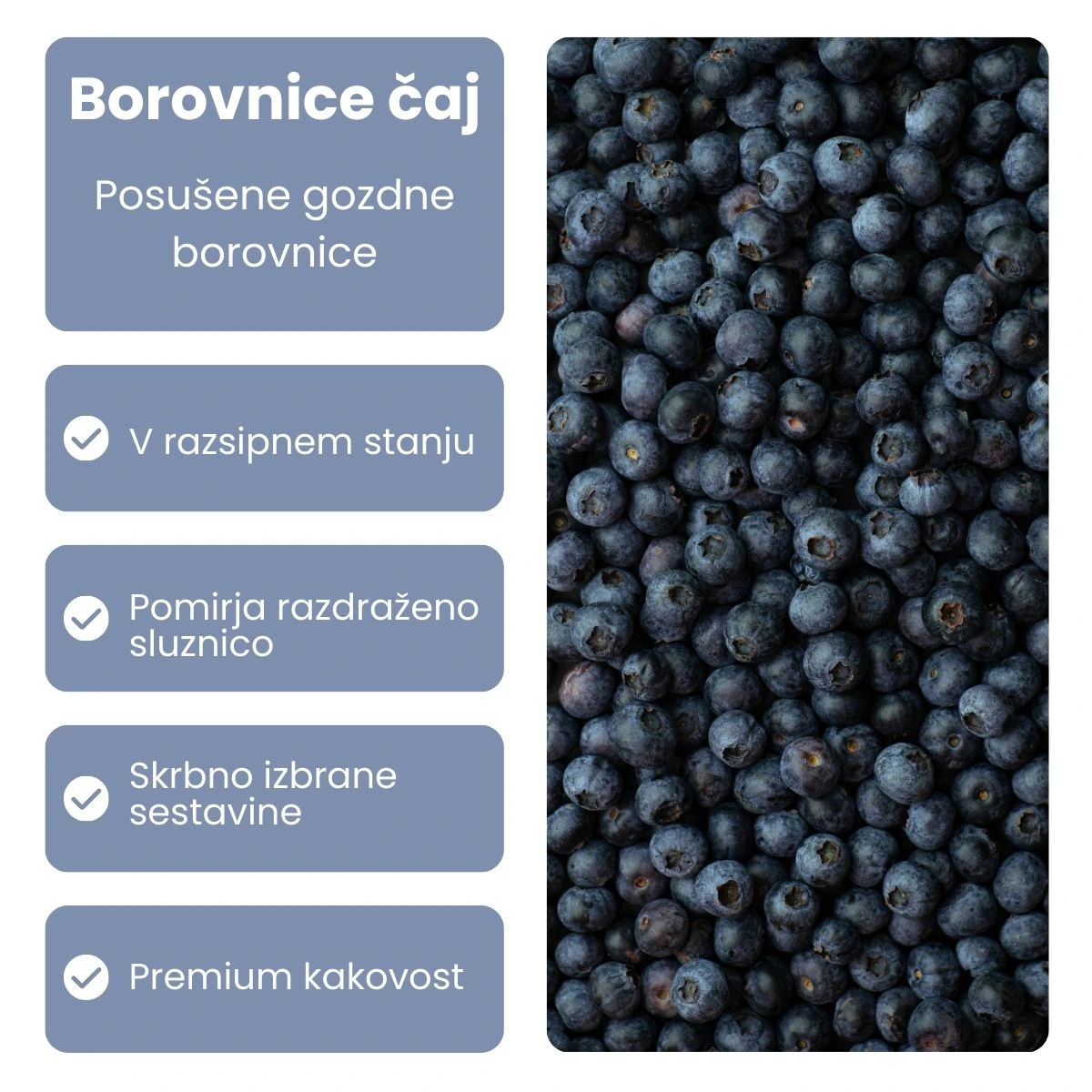 Galex borovnice sadni čaj, 40 g
