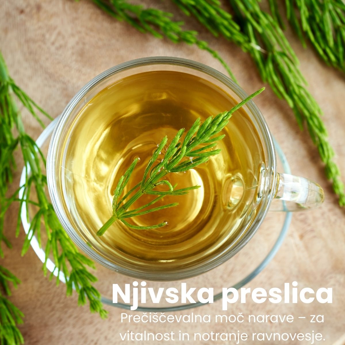 Galex njivska preslica zeliščni čaj, 40 g
